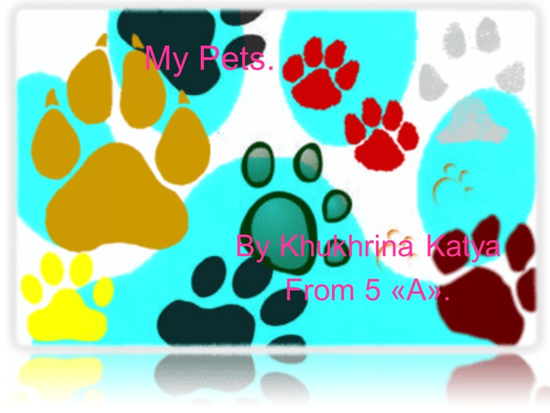 My Pets. By Khukhrina Katya From 5 «А».